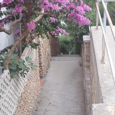 Stari Koko *