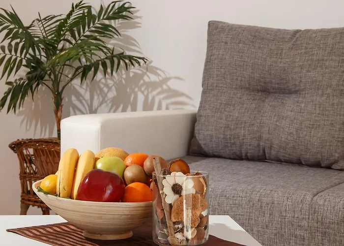 Stari Koko Apartment