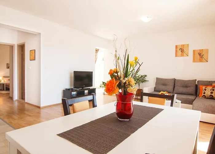 Apartment Stari Koko