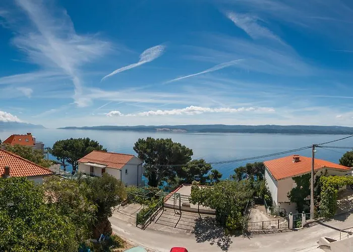 Stari Koko
