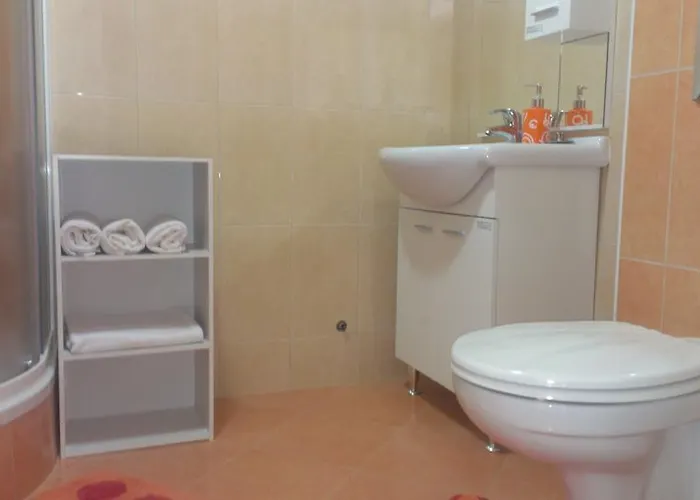 Apartment Stari Koko